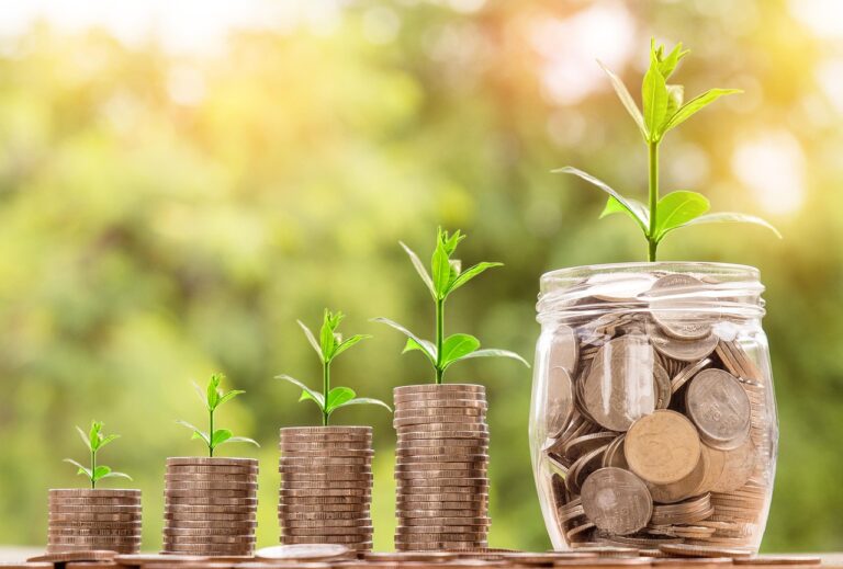 Financial Literacy Workshop for Local Entrepreneurs